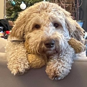 Meet your Posher, Keith